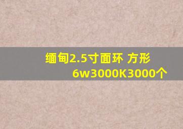 缅甸2.5寸面环 方形 6w3000K3000个